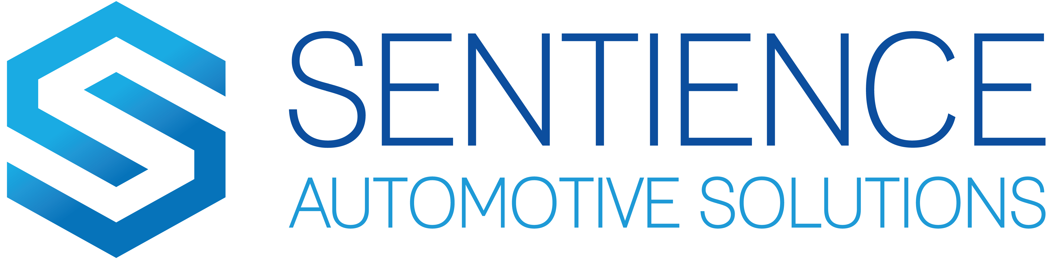 Sentience Automotive Solutions